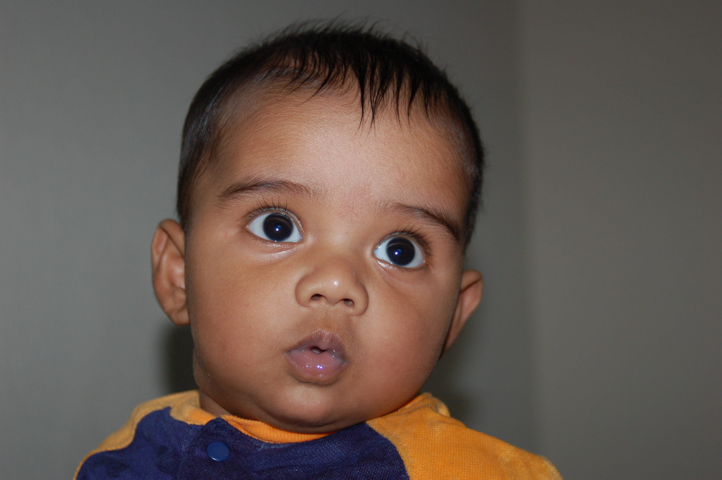 dsc_0003.jpg